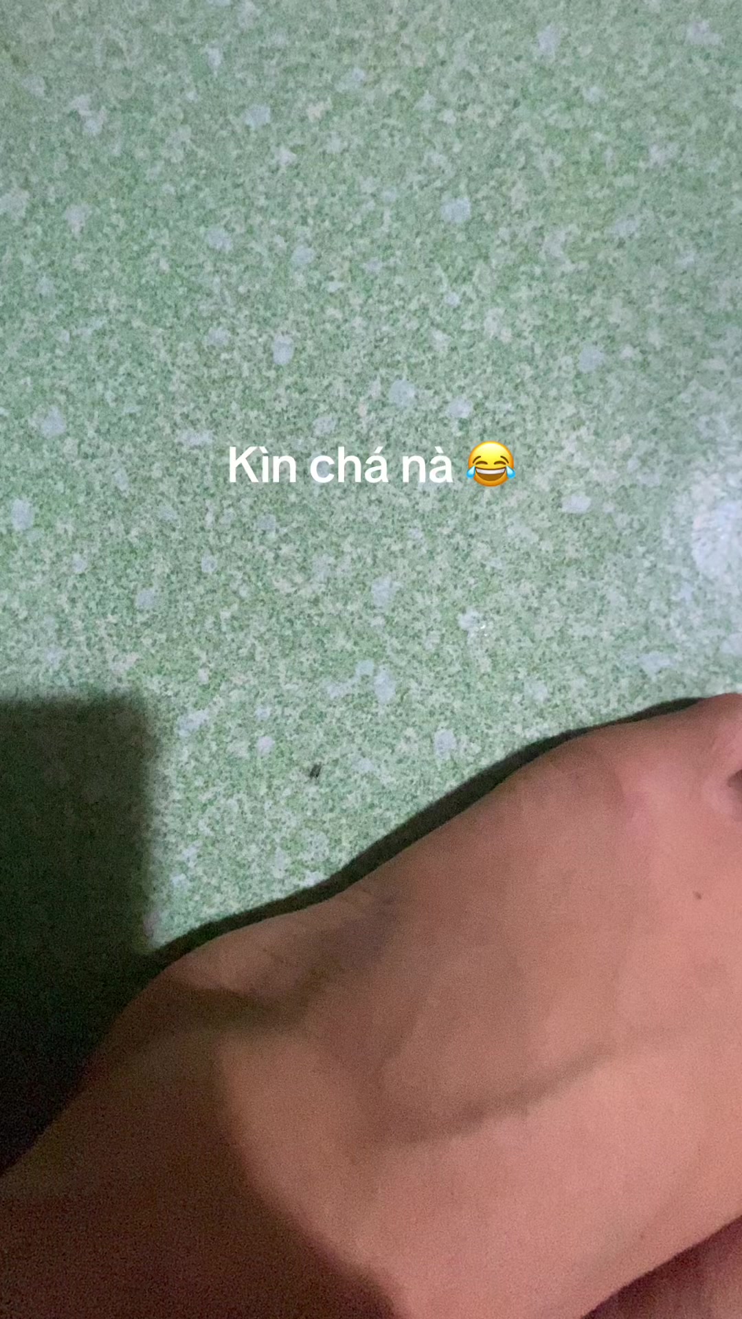 @Phượng ớt 💚