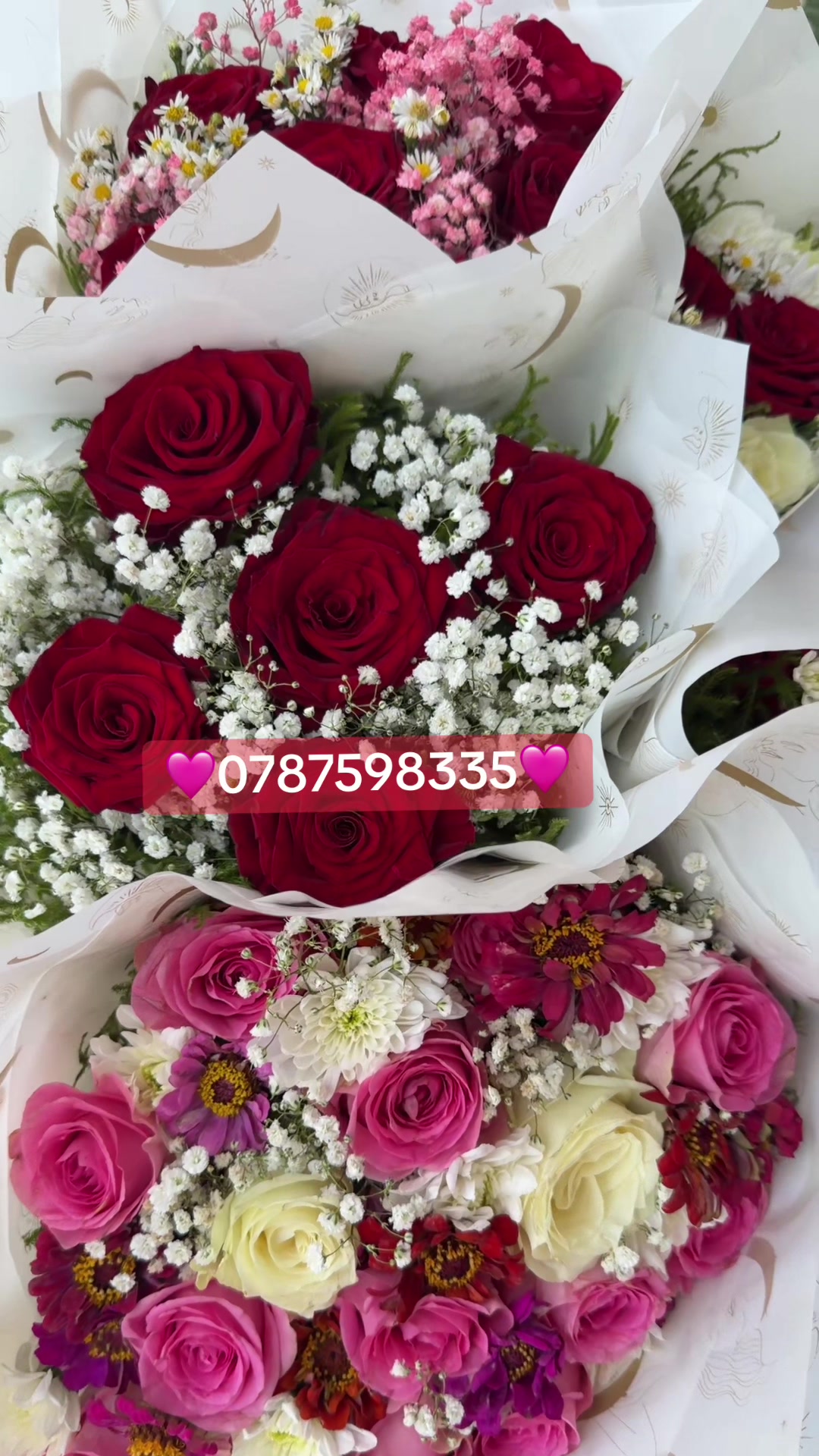 @La Vie en Rose225 💐