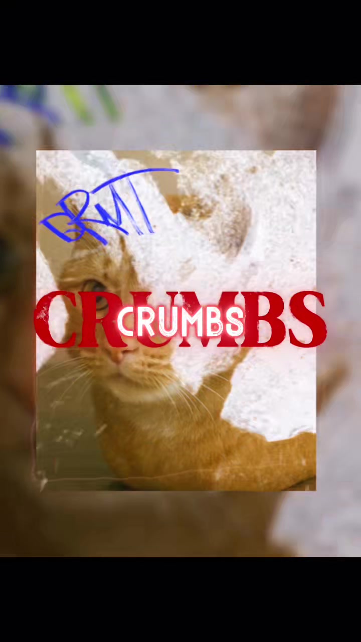 @bread_.cat