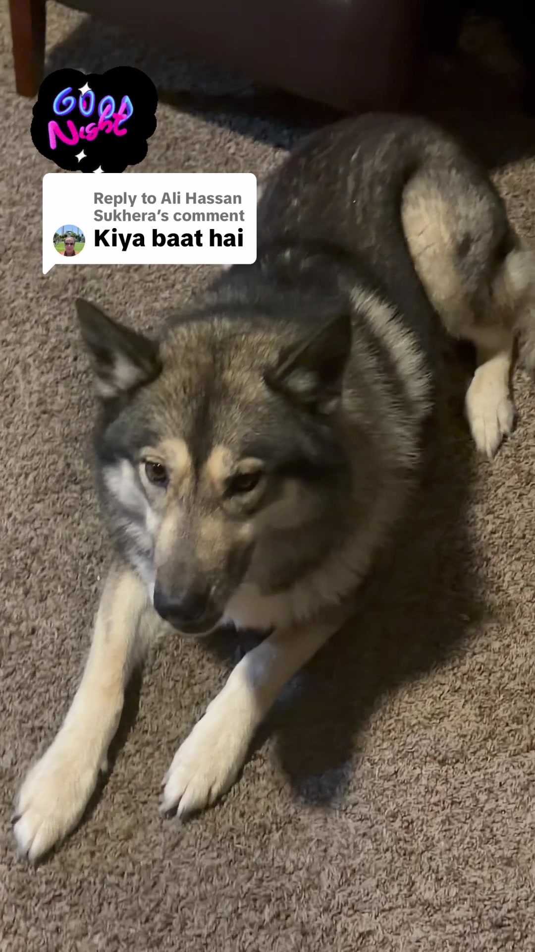 @PAGAL