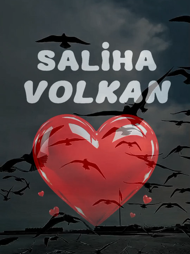 @SHOW İS NAME
