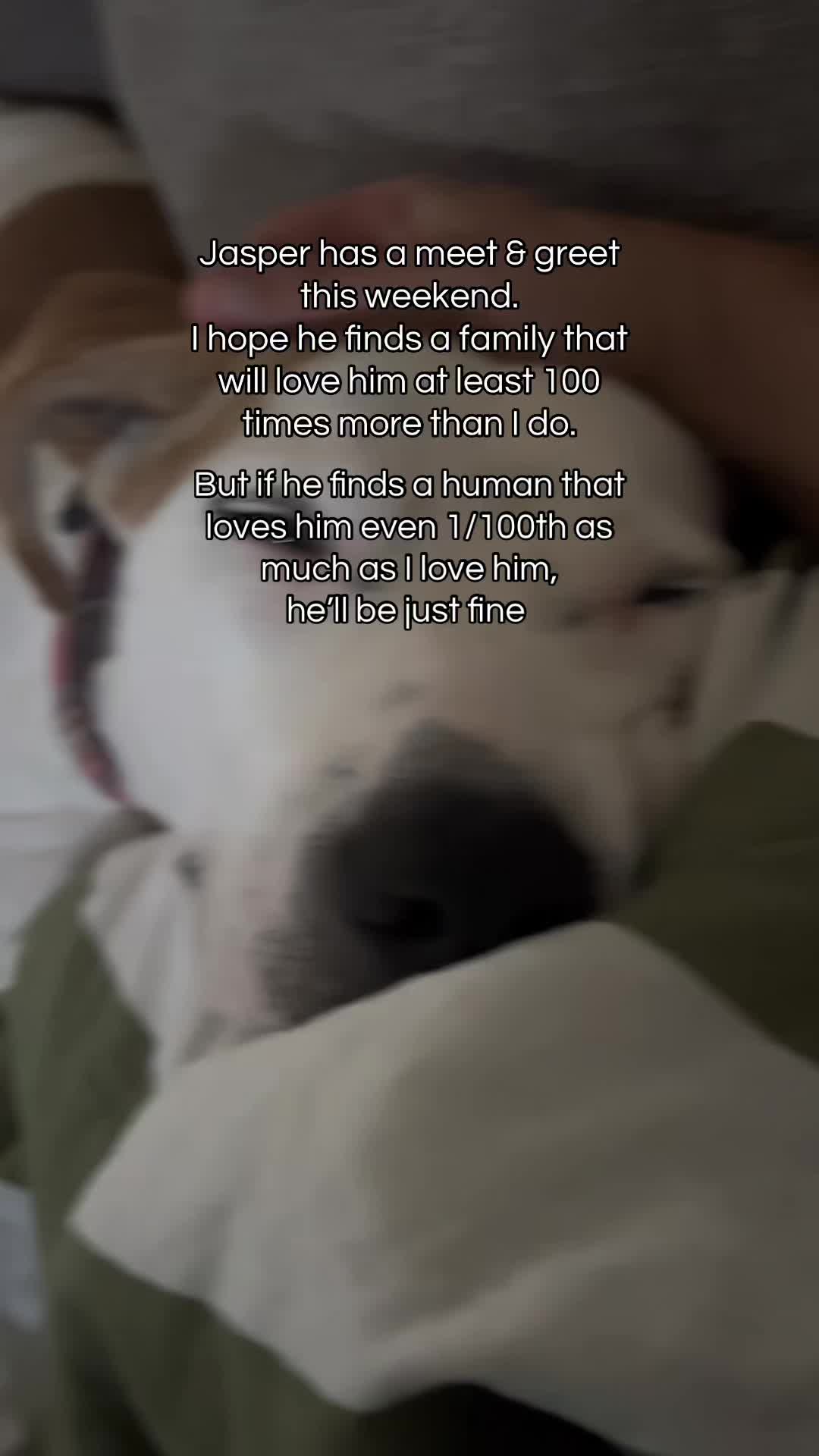 @Unbecomingluvluv