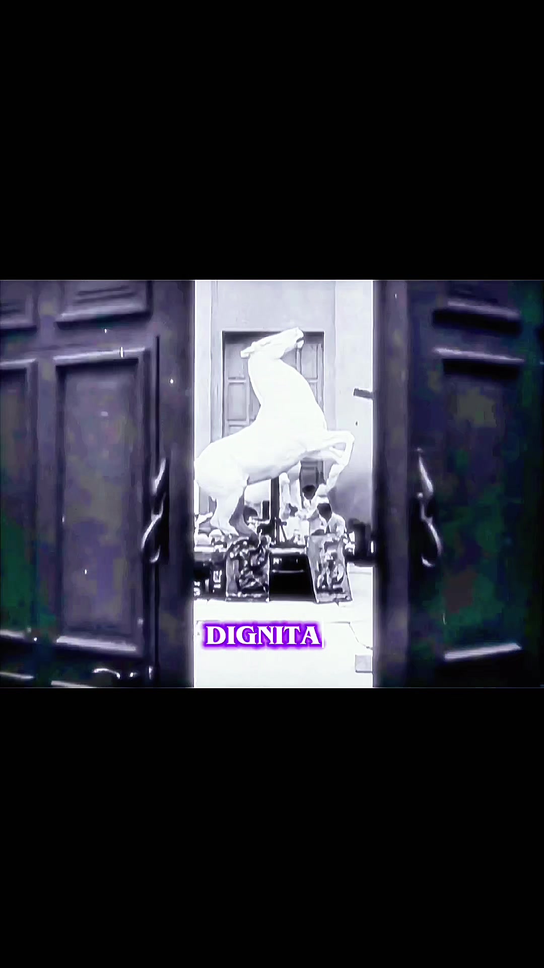 @Dignitas