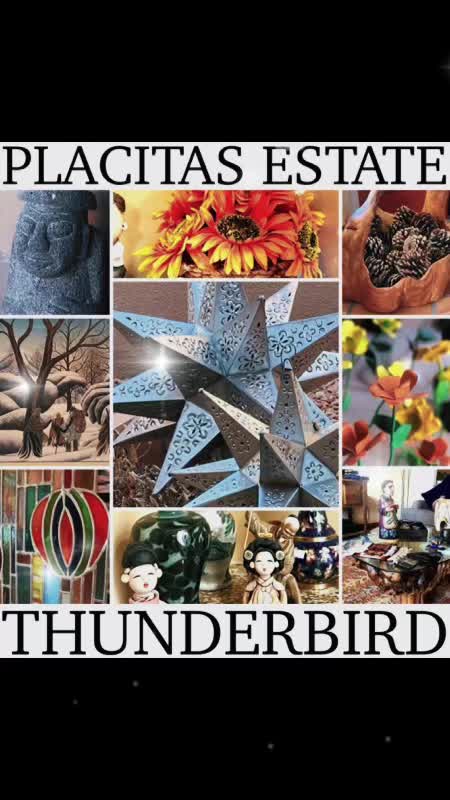 @Thunderbird Estate Sales