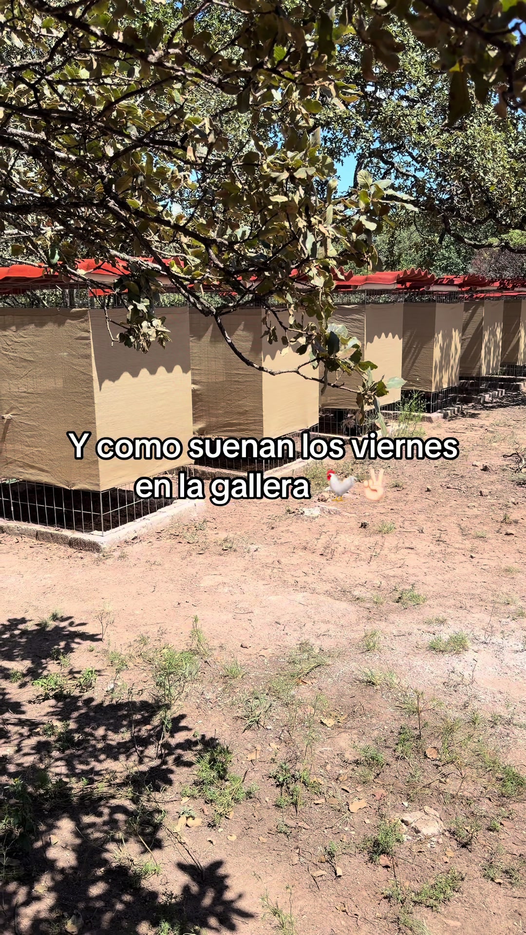 @SerPerLop
