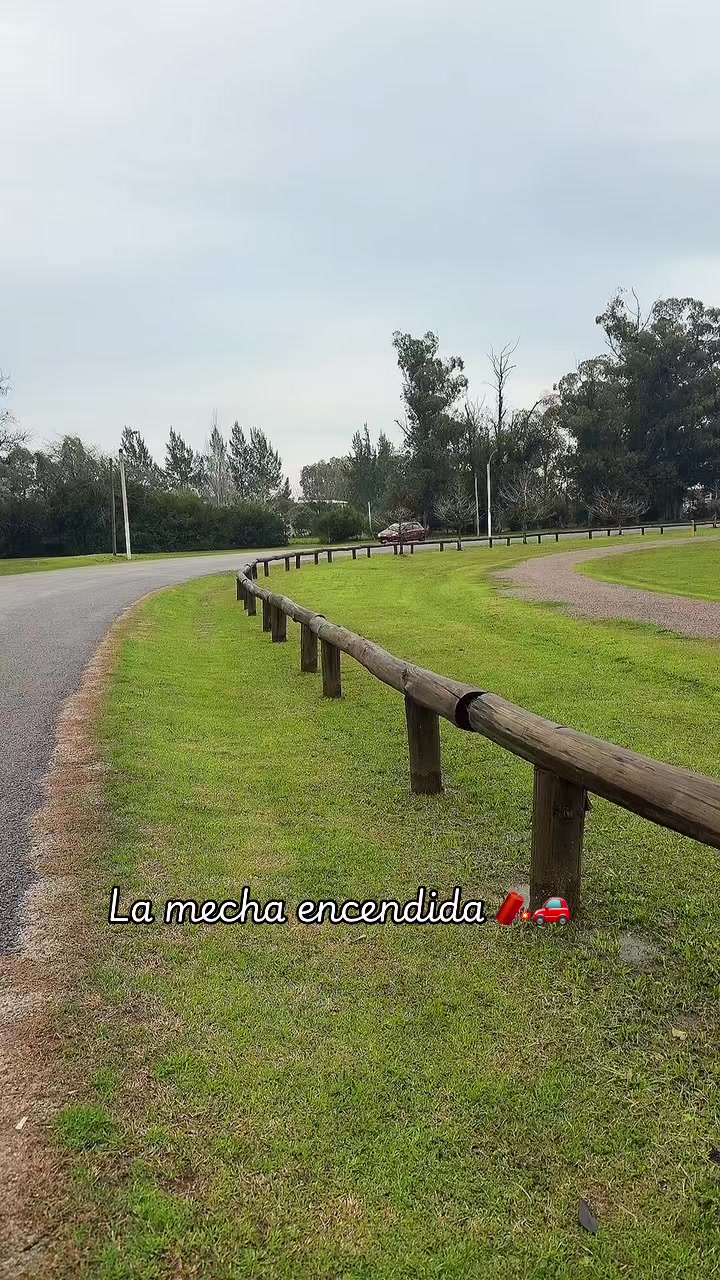 @Rena 1✨