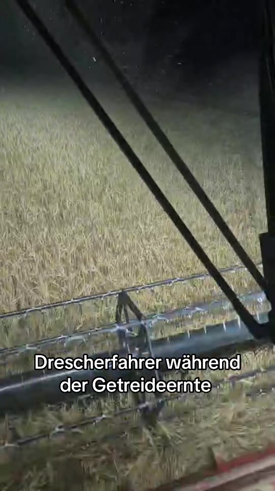 @Elke Gültner
