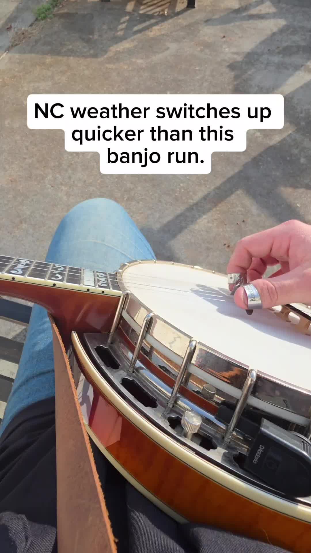 @Carolina Picker
