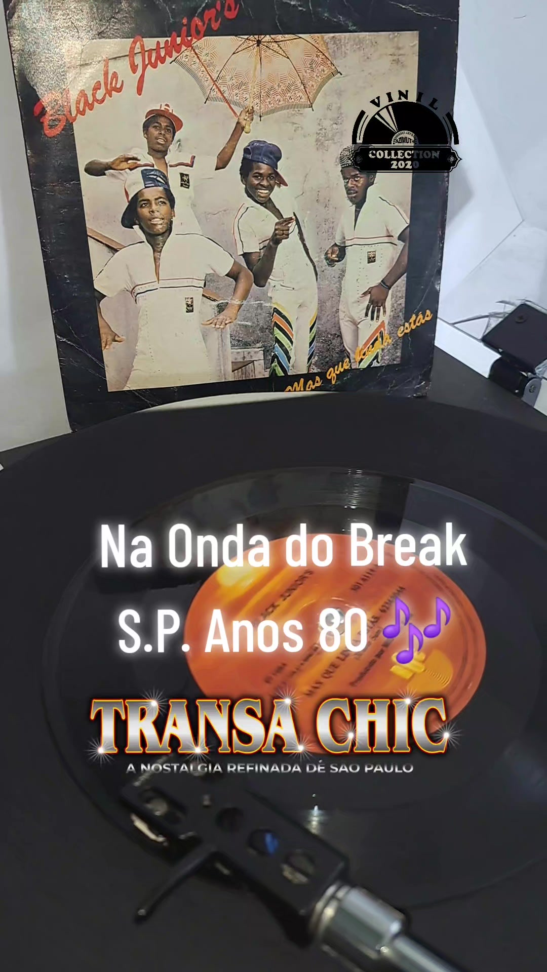 @TRANSACHIC NOSTALGIA BLACK
