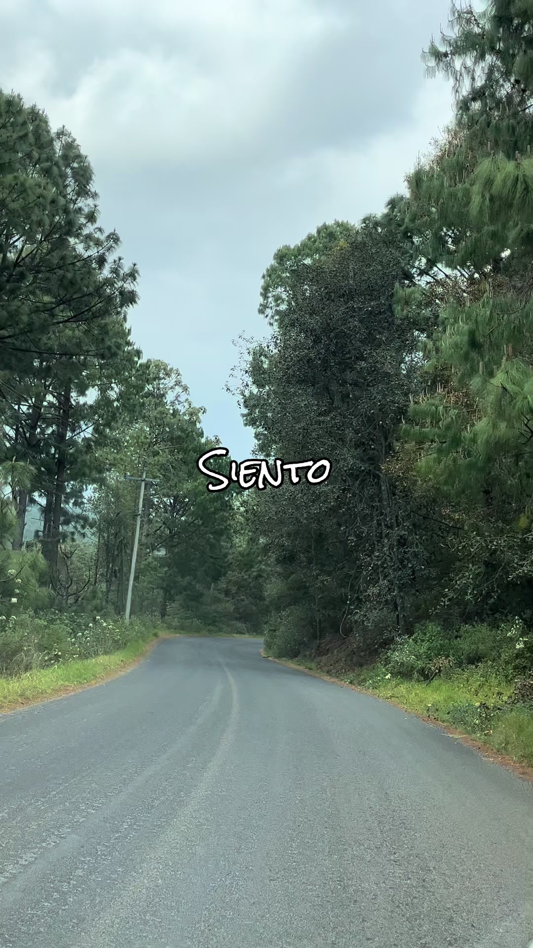 @Noemí MT