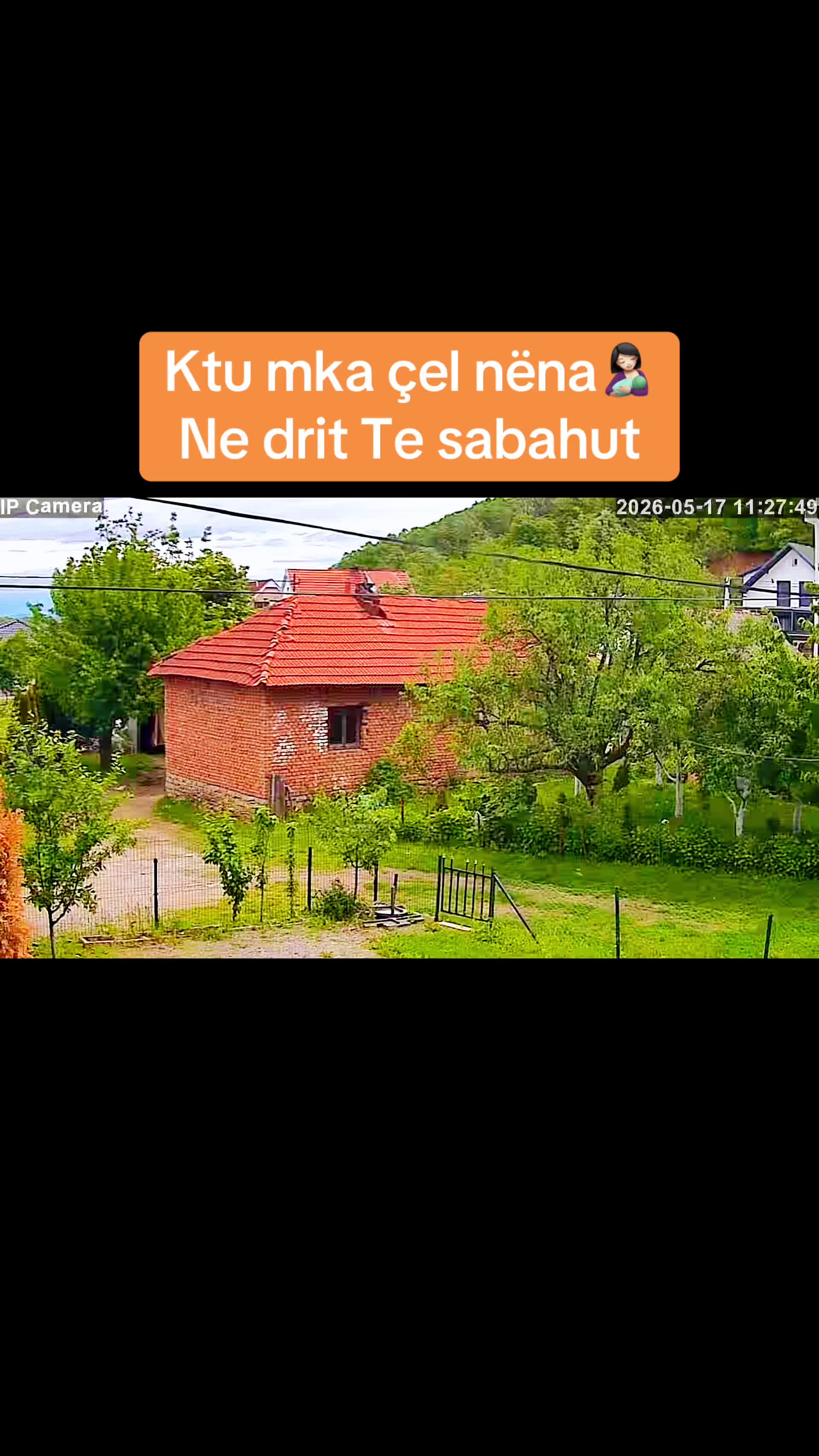 @kingavni05