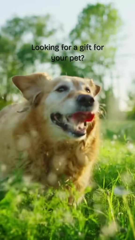 @Petworks.com