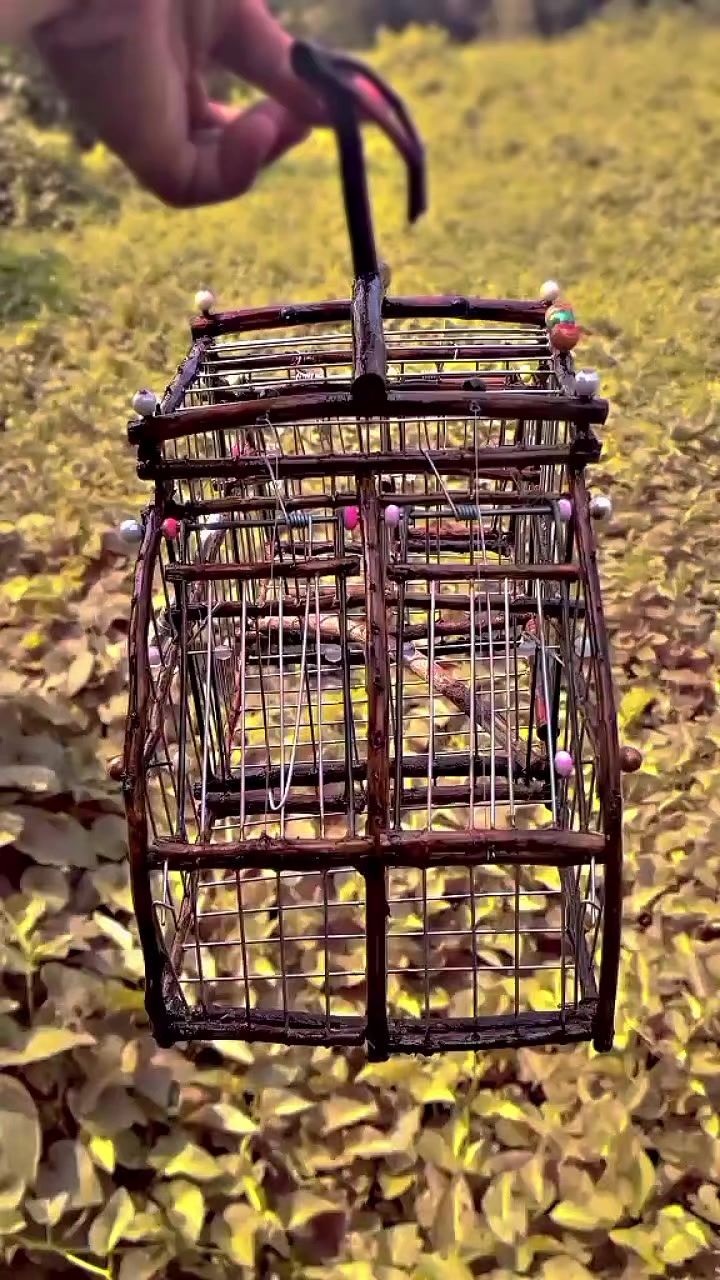 @Srindit kaltara 🦜