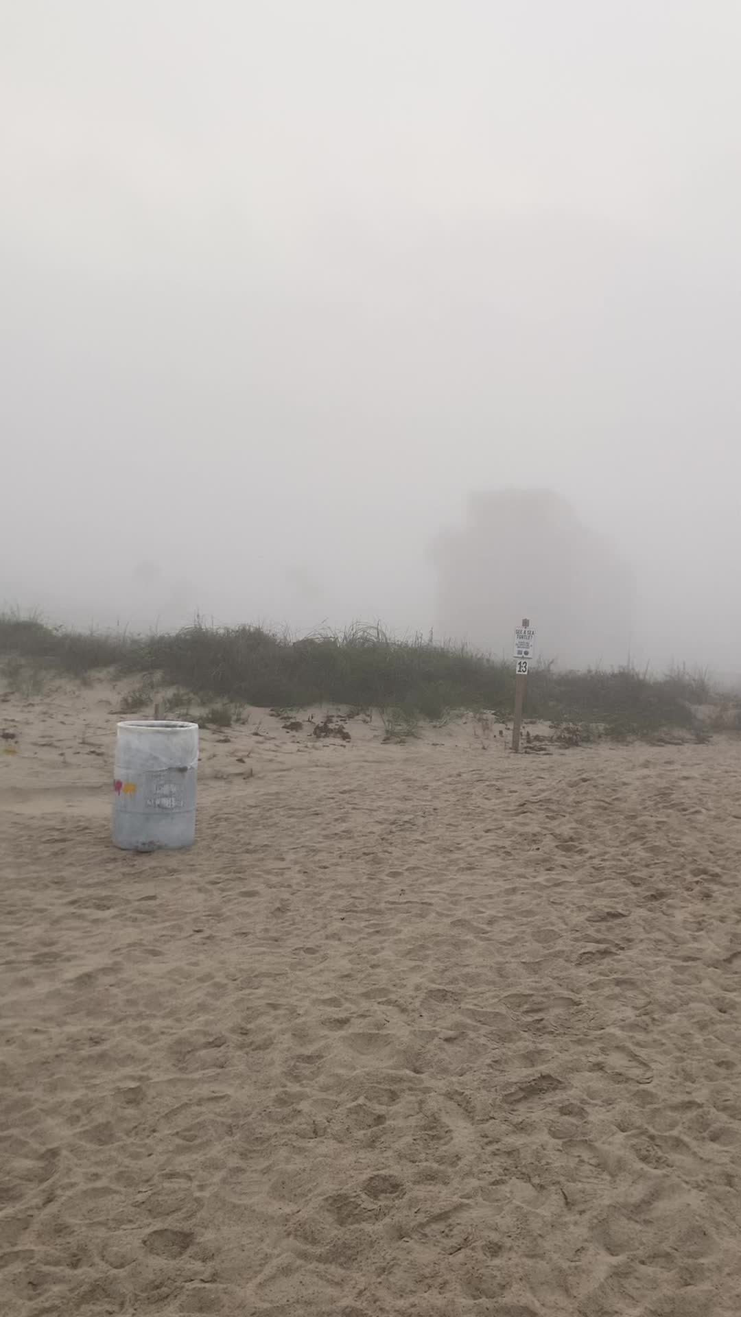 @✨Saray M. 🌷✨