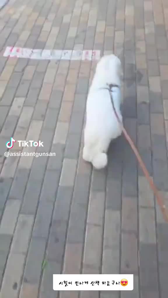 @안선희 (서울)