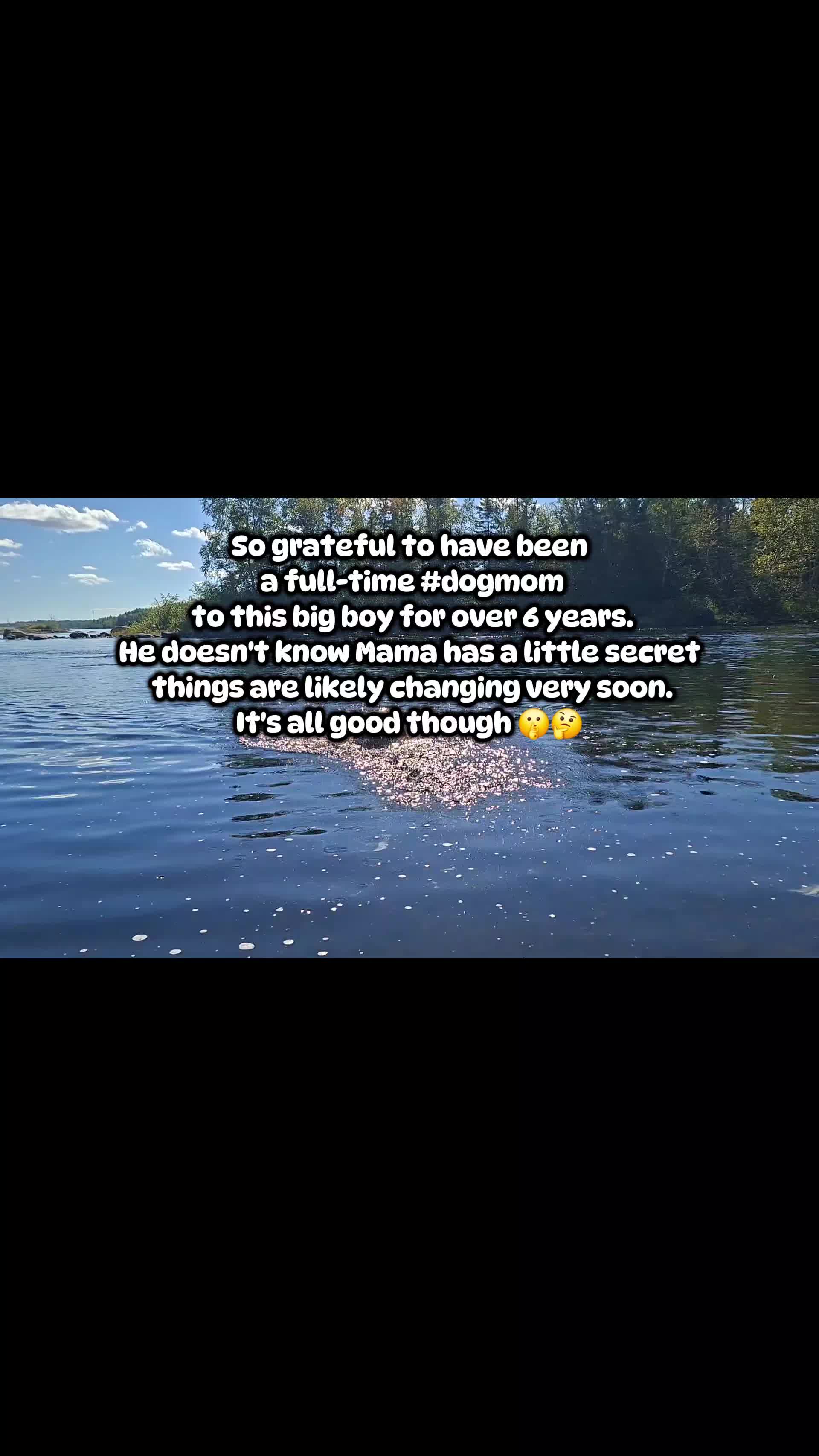 @Dogmom