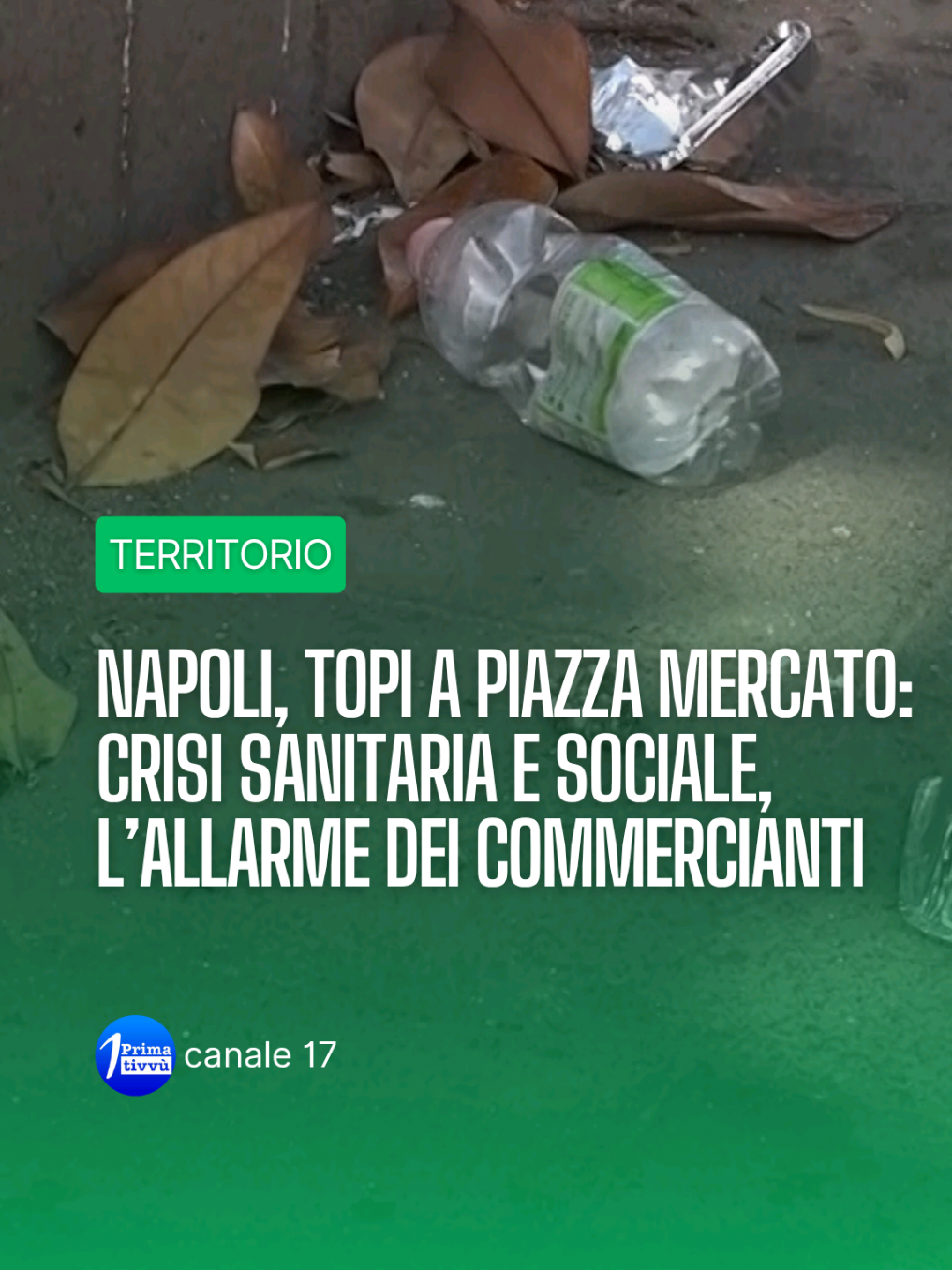 @Prima Tivv&ugrave; - Canale 17