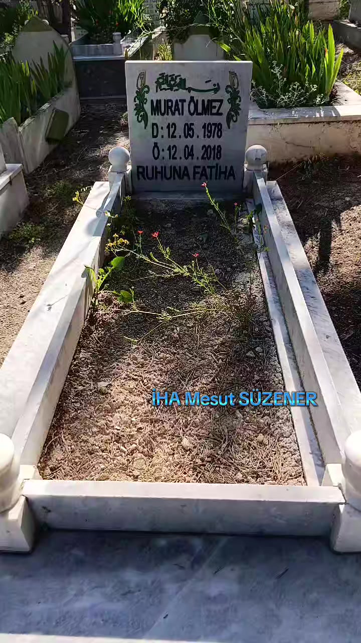 @mesut s&uuml;zener