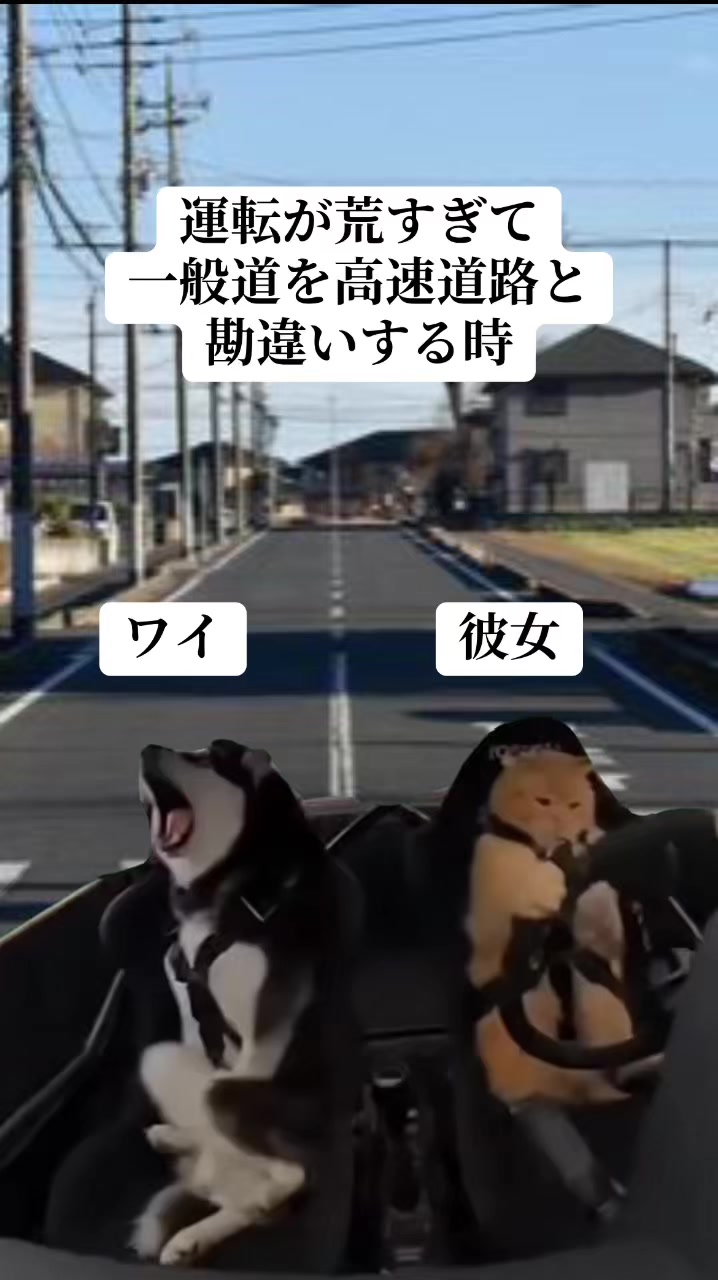@面白ミーム