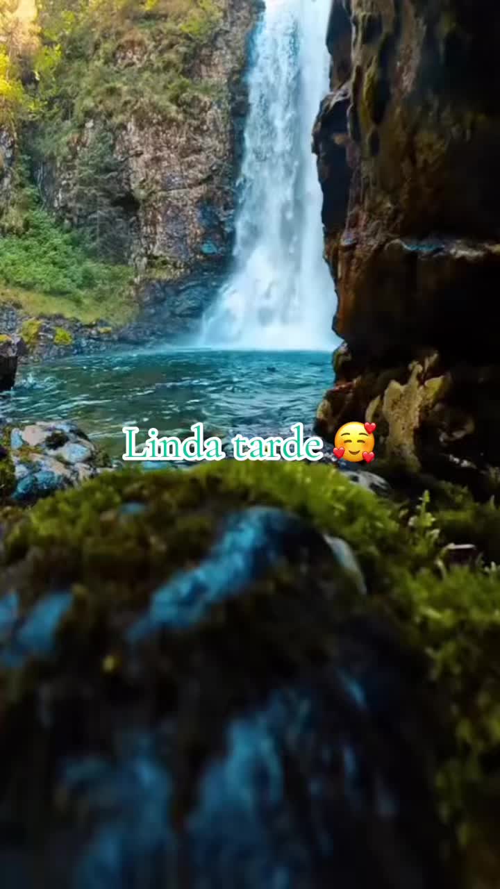 @JC &hearts;️Tu Consentido