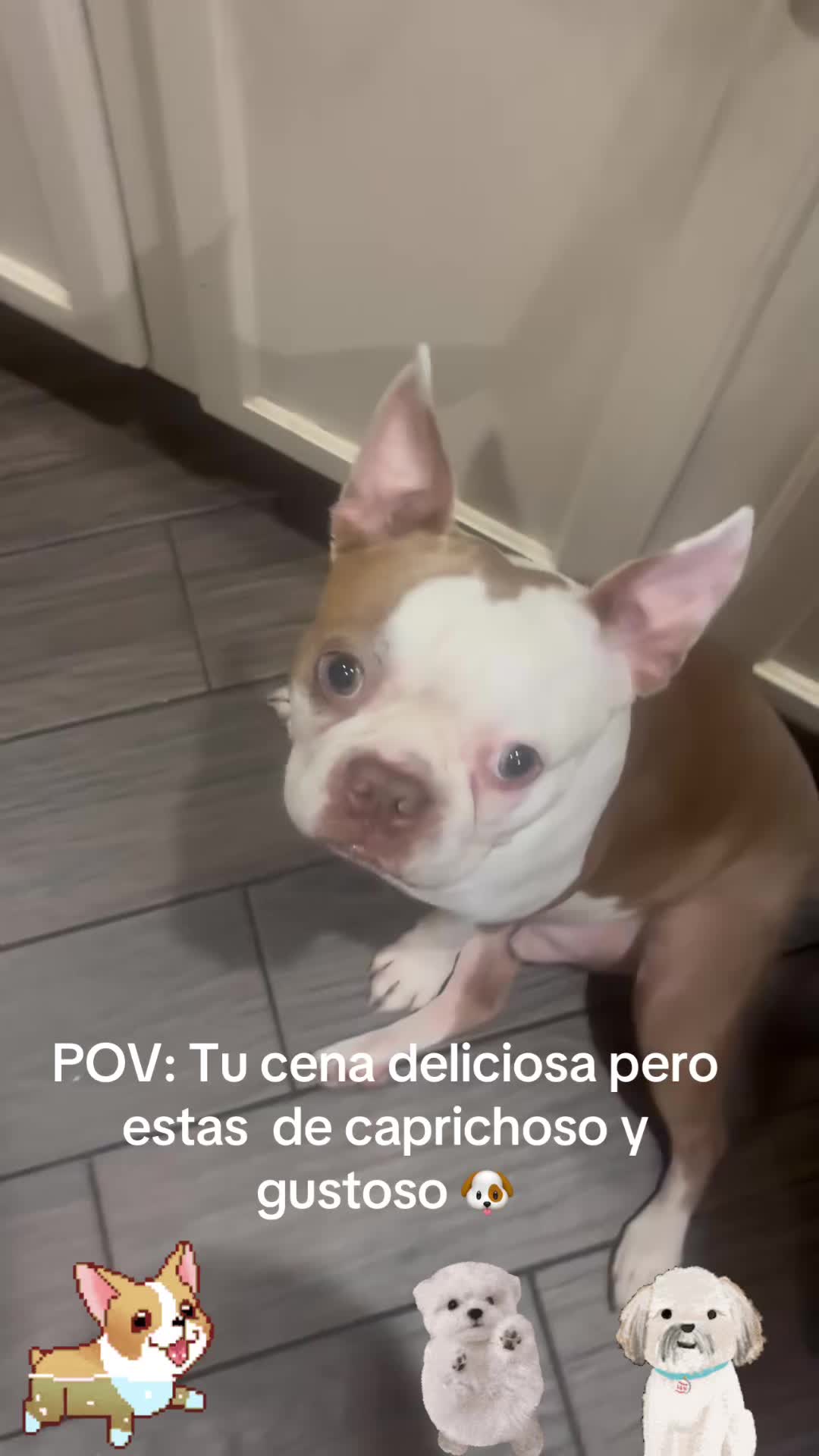 @los3huevertos