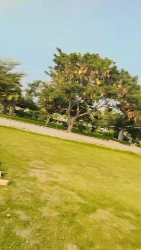 @Raees Amir SK 😎🔥