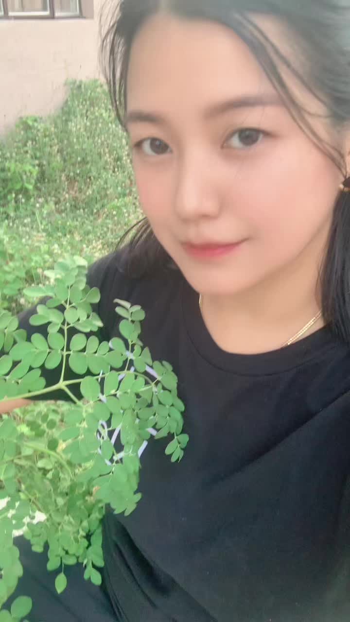 @mayj1228