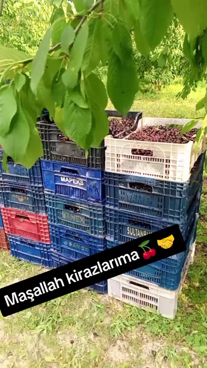 @İlkay baran