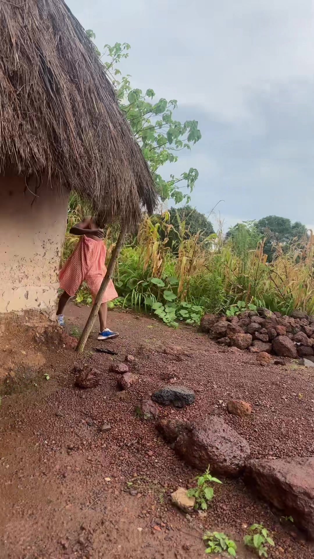 @Vieux Tôriô 224🇬🇳