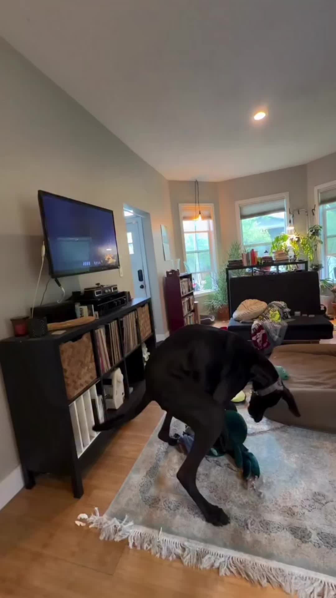 @sillyhop216