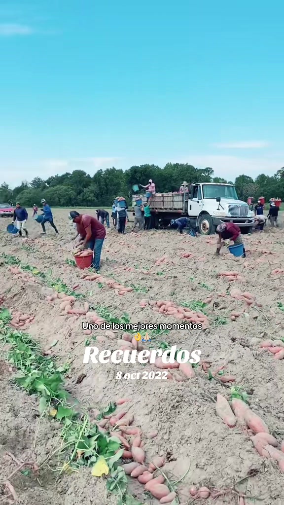 @Oaxaqueña🇲🇽
