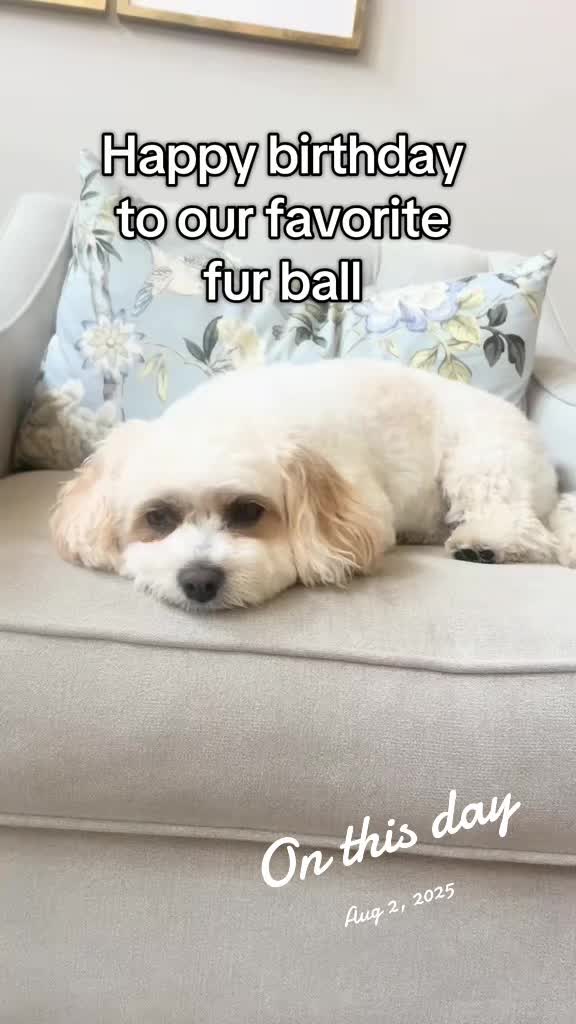 @tiffanycurates