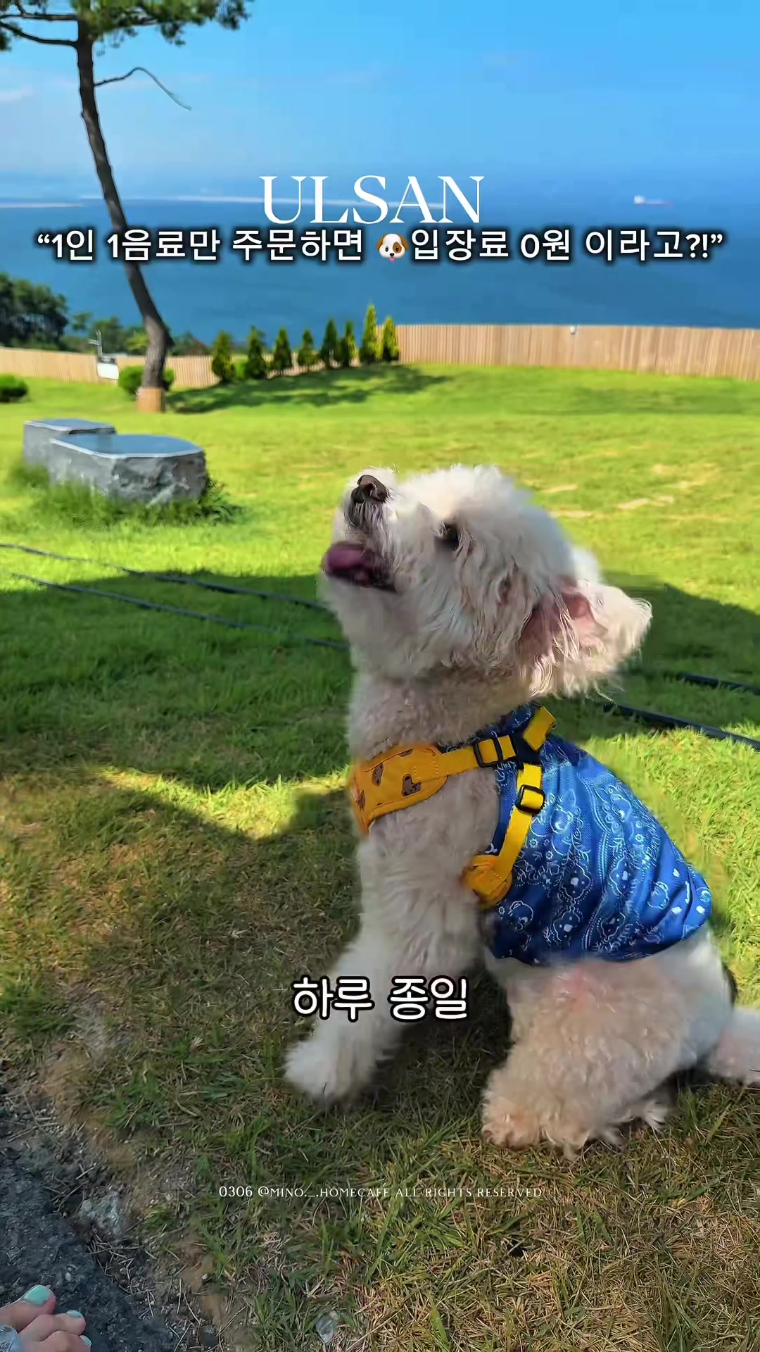 @mino36 미노36