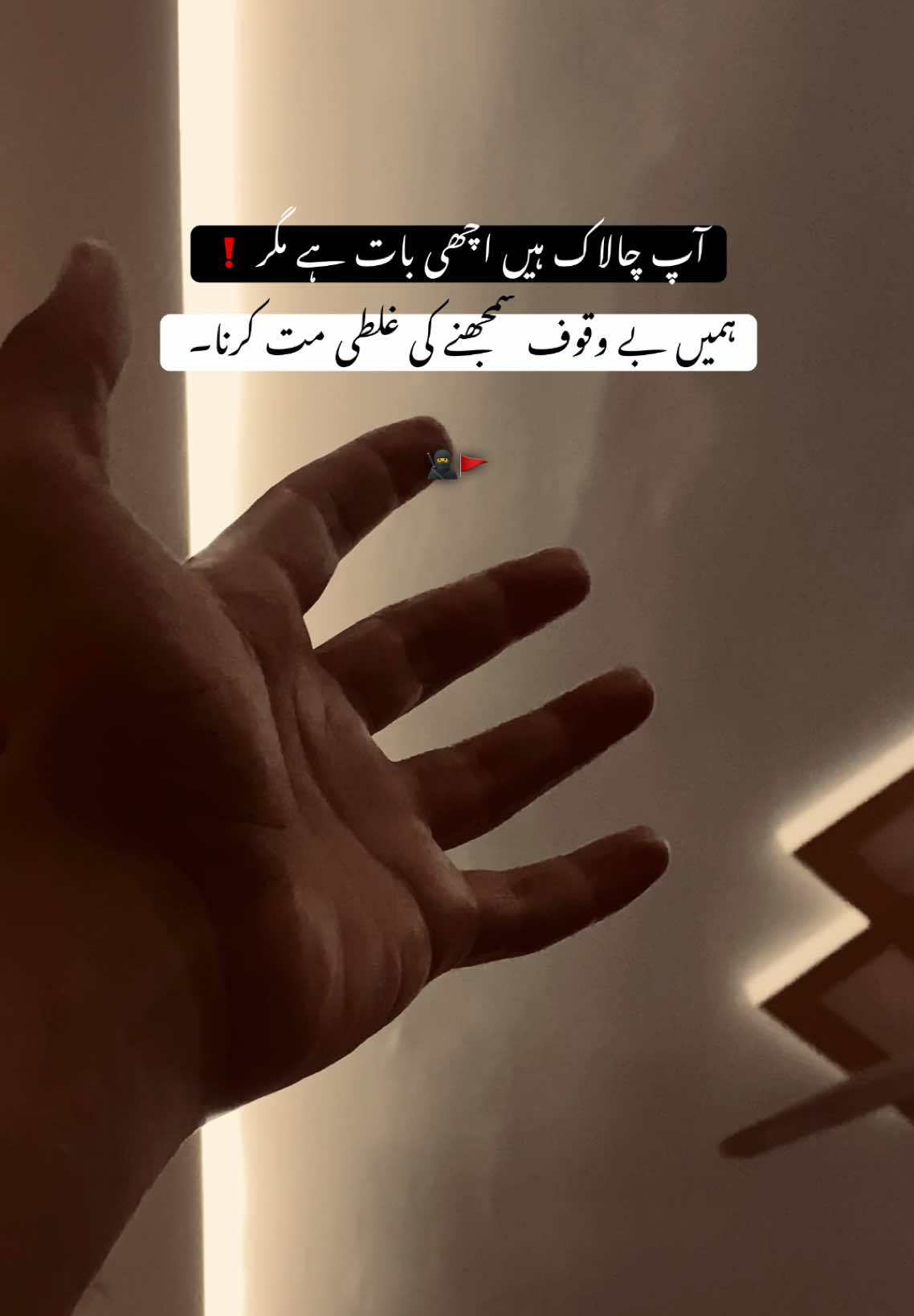 @اَناپرست لڑکا🔥⚜️