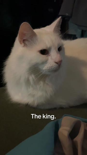 @legendl0re