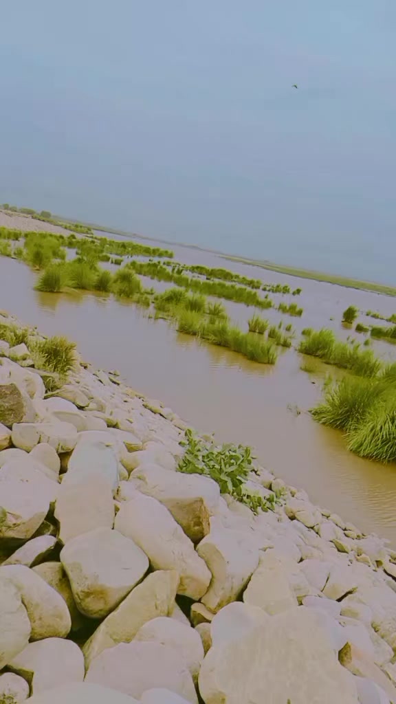 @Falik Shair Abbasi