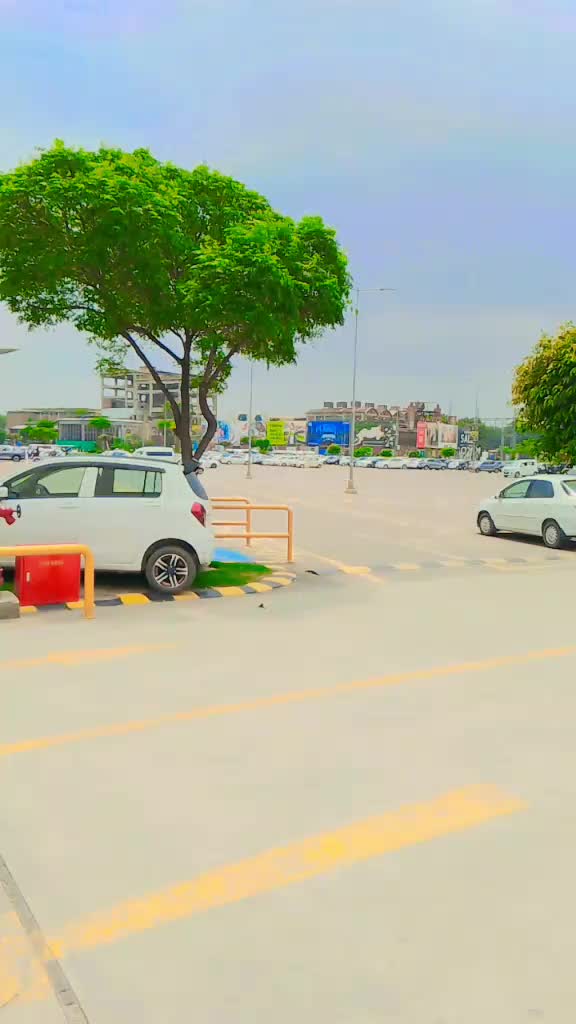 @talha sardar
