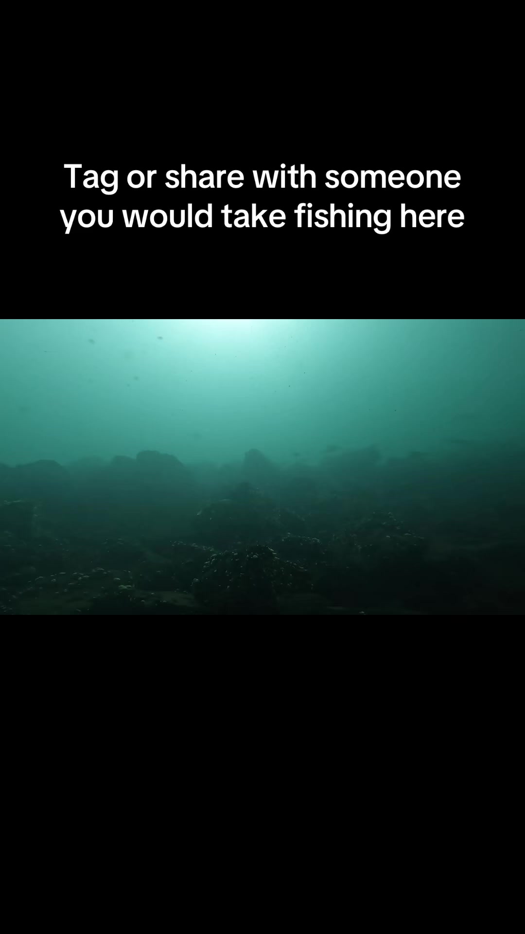 @Scuba mist