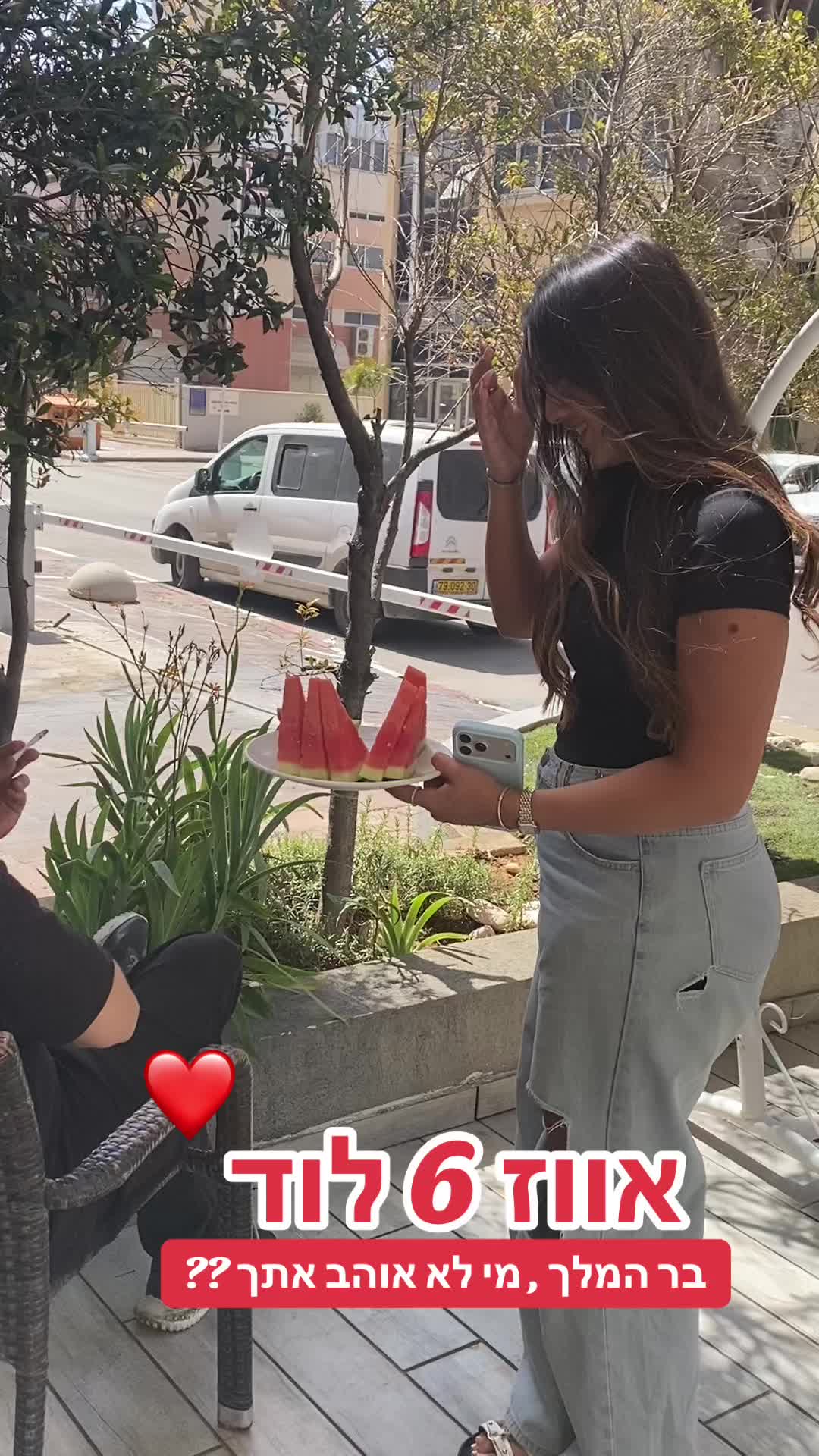 @אווז 6 לוד