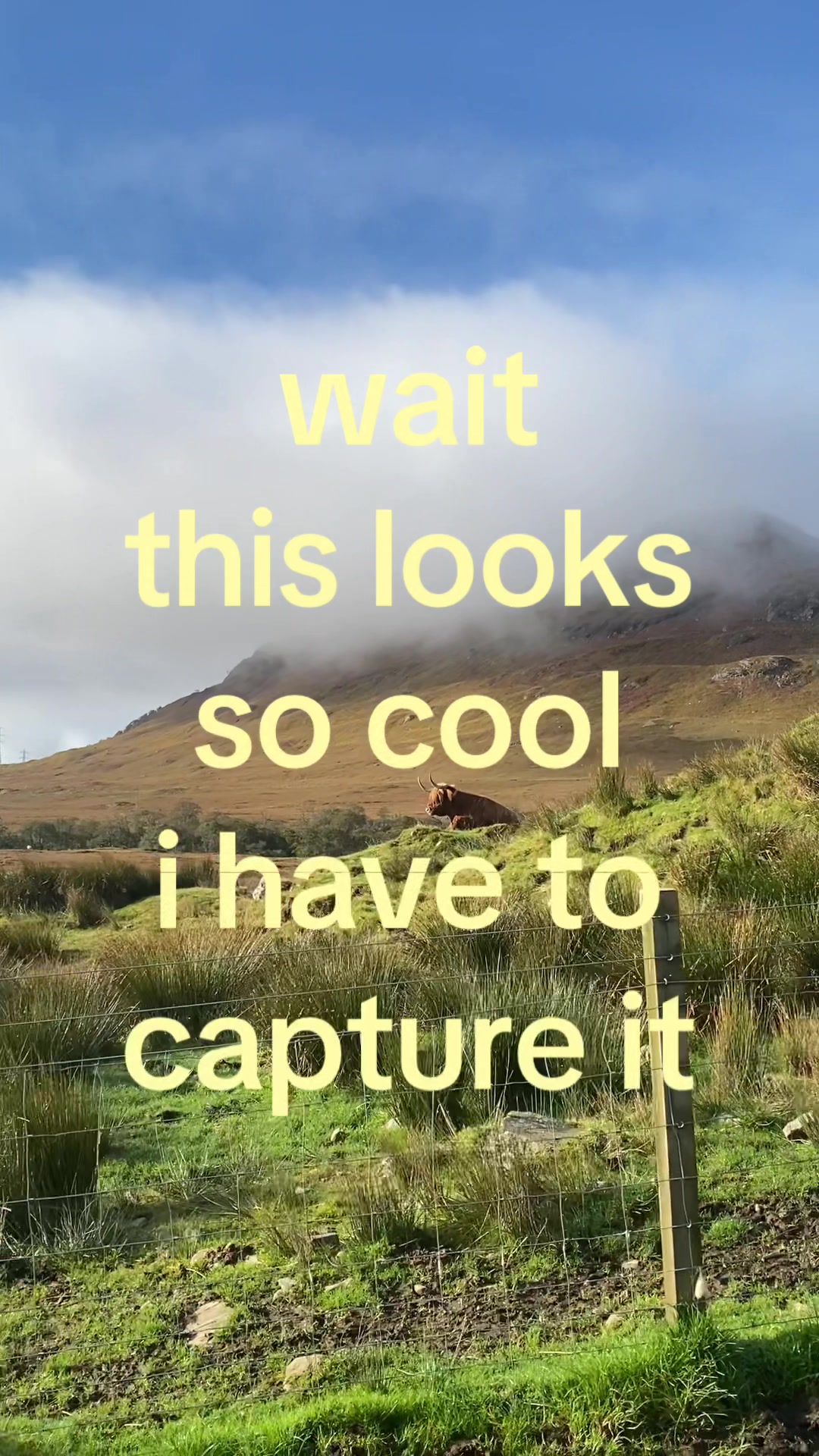 @meag