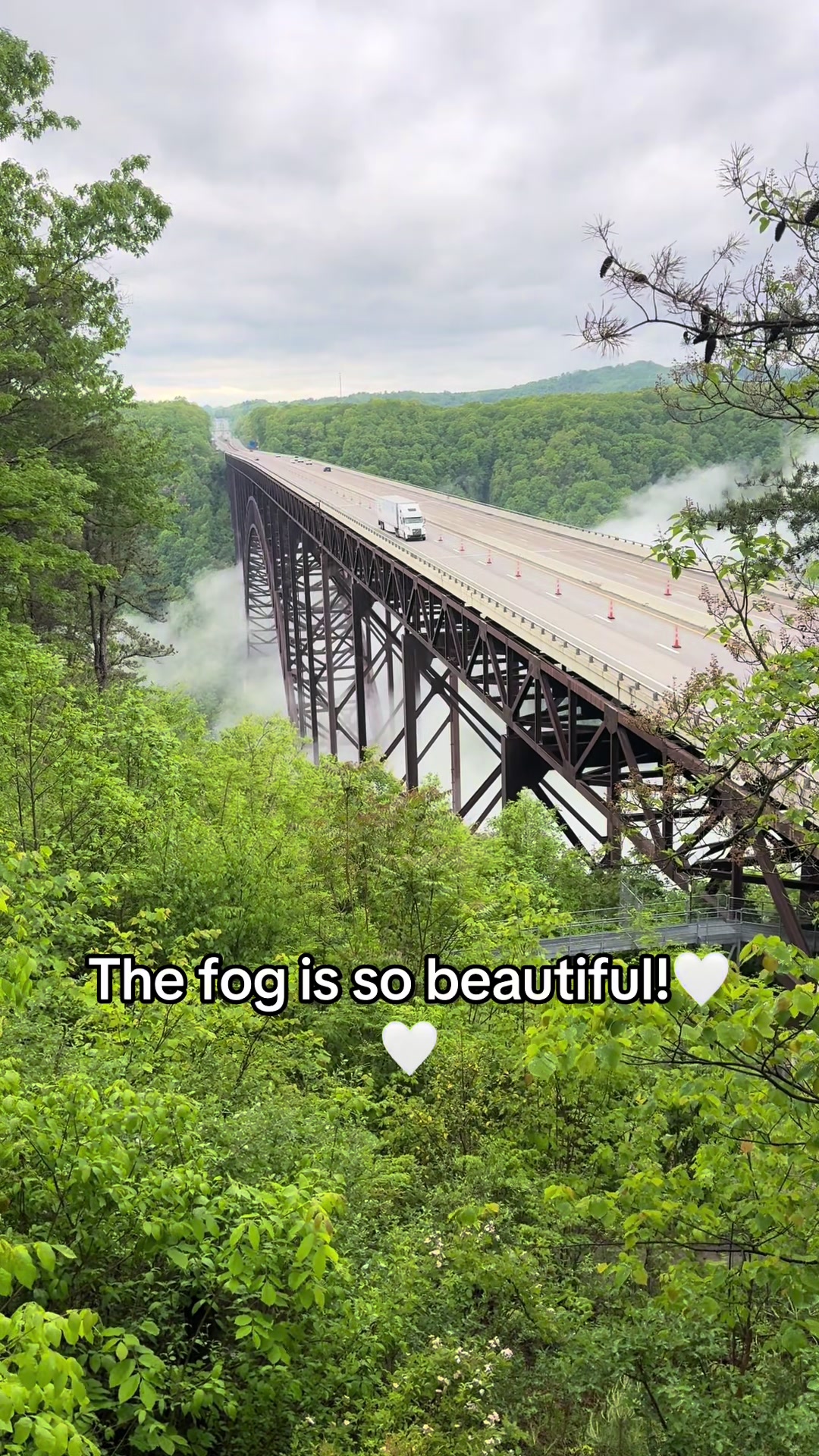 @wvdogmom13
