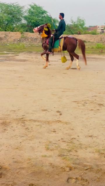 @Rai Usman