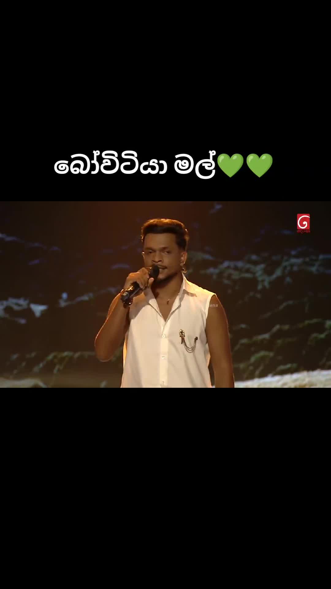 @SongLover🎵💚