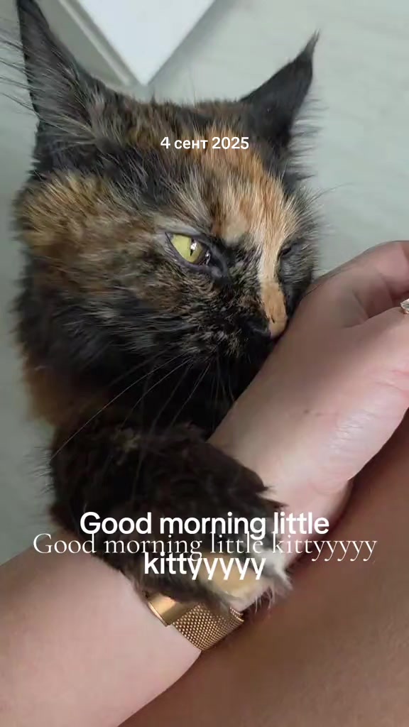 @🌸Юленька 💕 🦊🐾