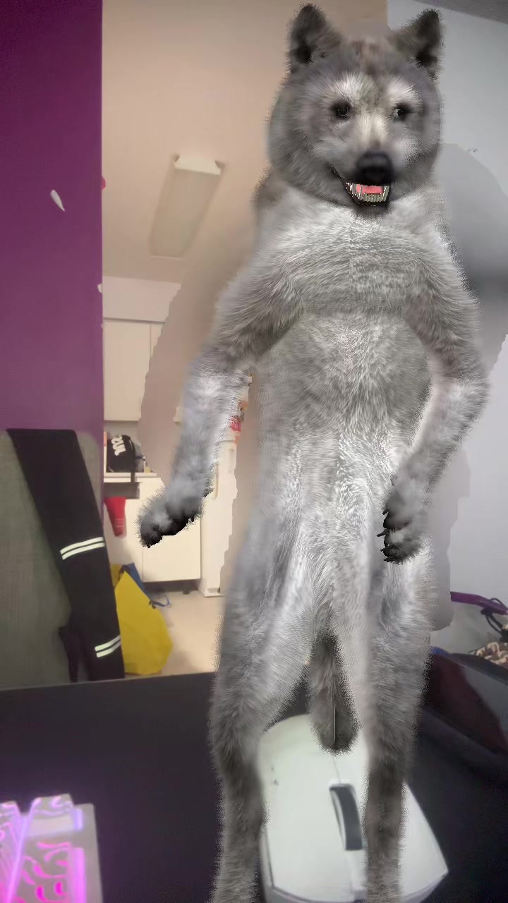 @WOLFBOY APEXPREDATOR