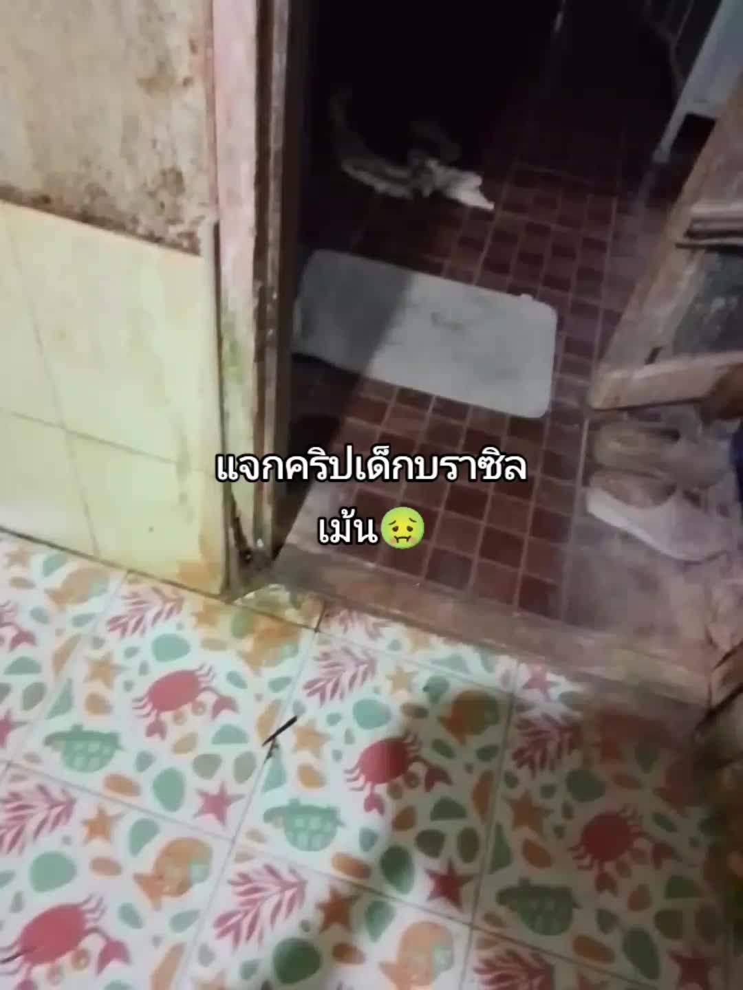 @ดินเอ๋อ