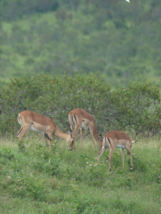 @Madbookings Travel Namibia
