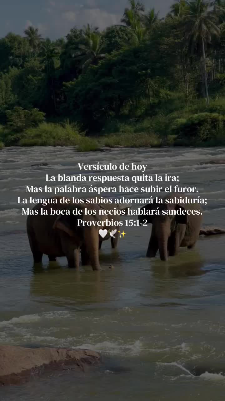 @Aleluya