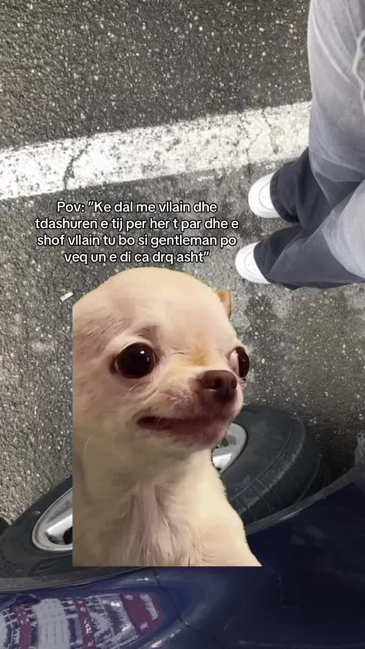 @إينا’🦂
