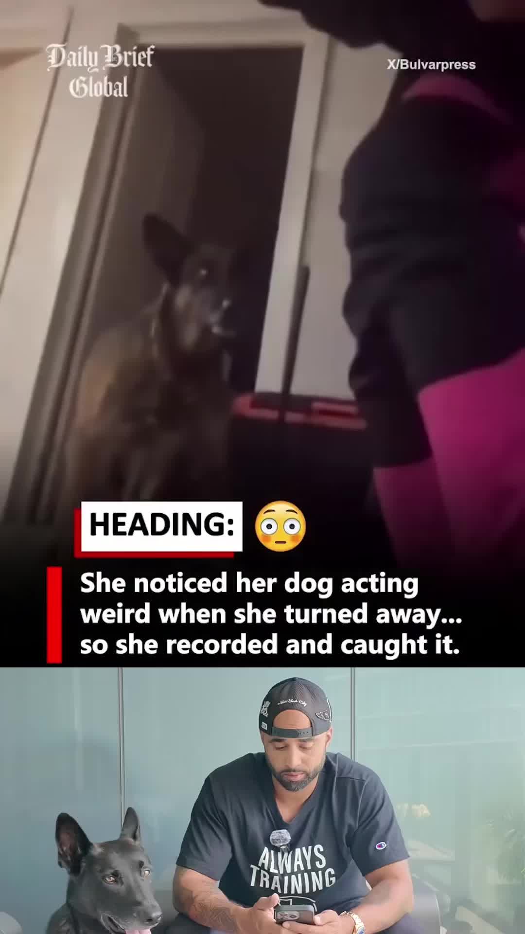 @Cali K9